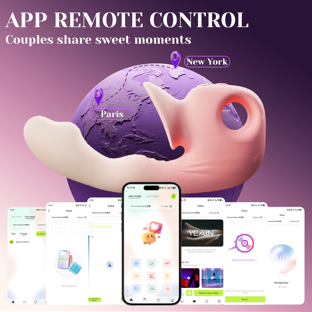 Rhapsody Pro App Control Interface